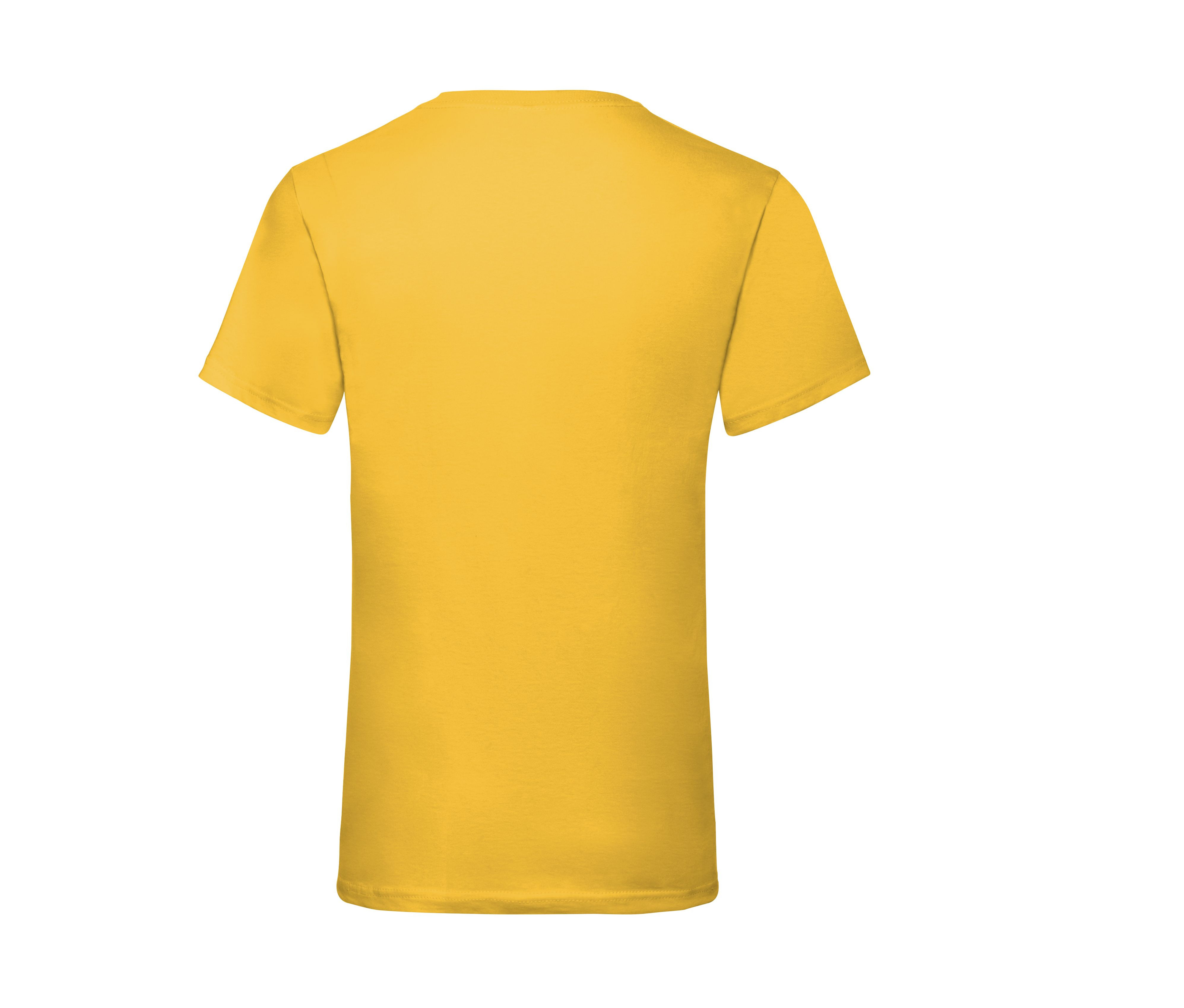 VALUEWEIGHT V-NECK T