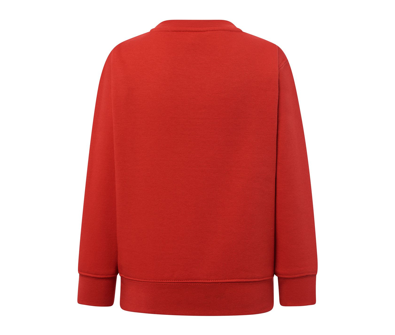 SWEATSHIRT RUNDHALSAUSSCHNITT