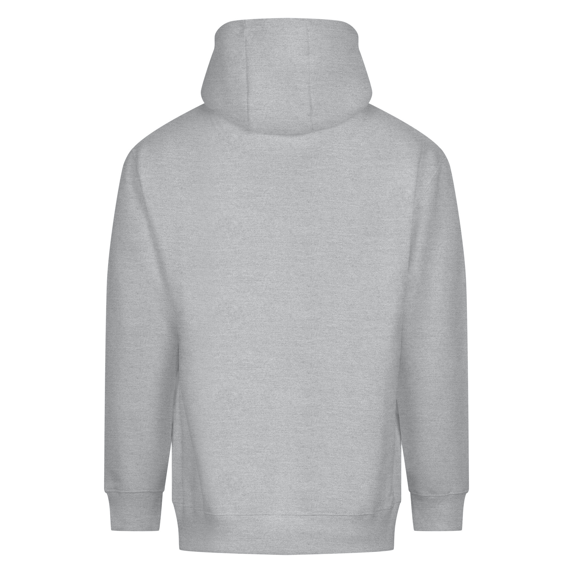 VISION HEAVYWEIGHT HOODIE