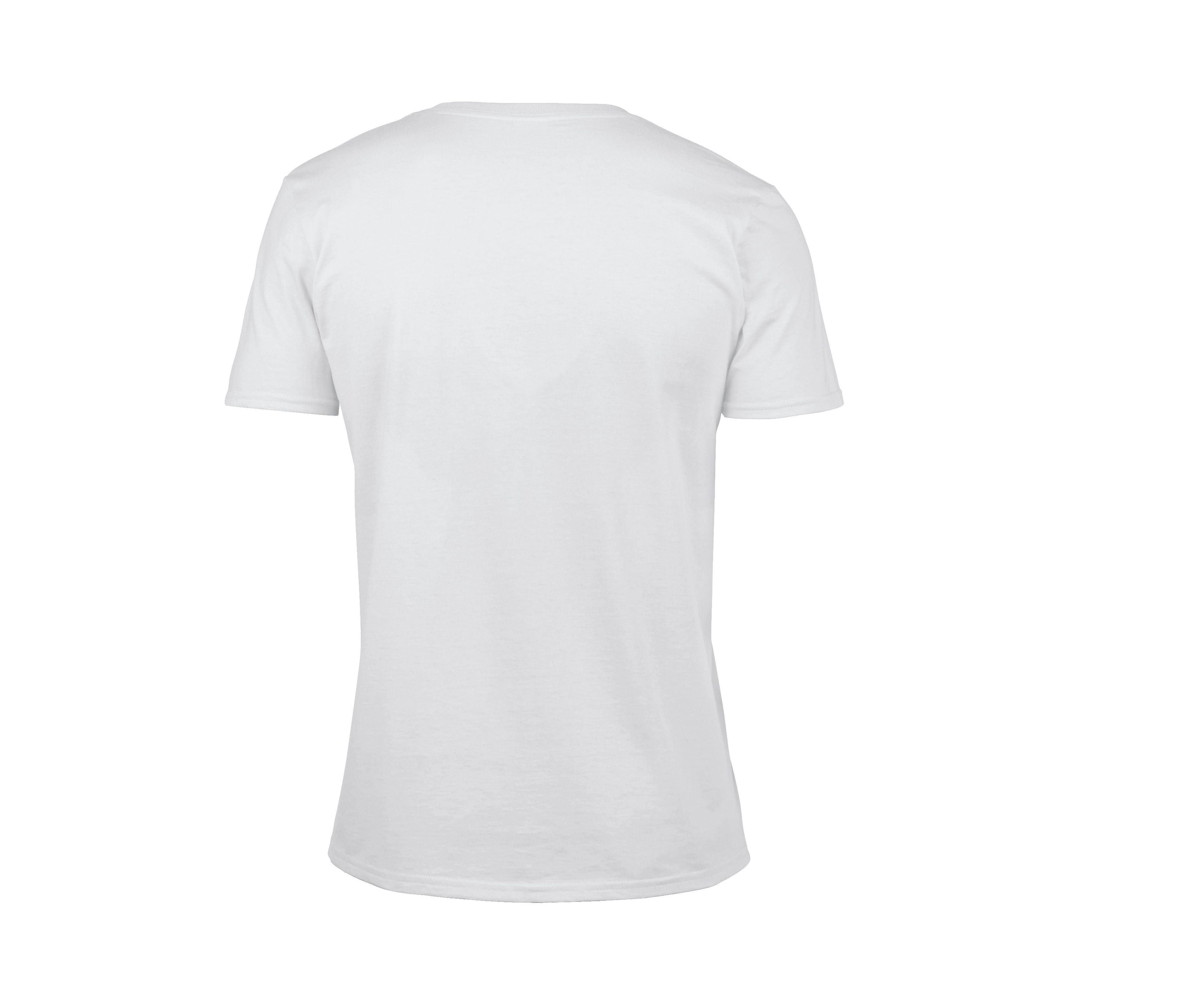SOFTSTYLE® ADULT V-NECK T-SHIRT