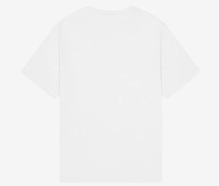 UNISEX HEAVY BOXY TEE