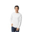 SOFTSTYLE® ADULT LONG SLEEVE T-SHIRT